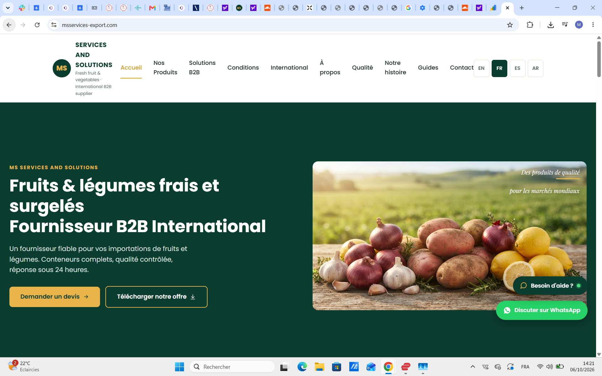 Carottes surgelées en dés IQF calibrées pour industrie agroalimentaire